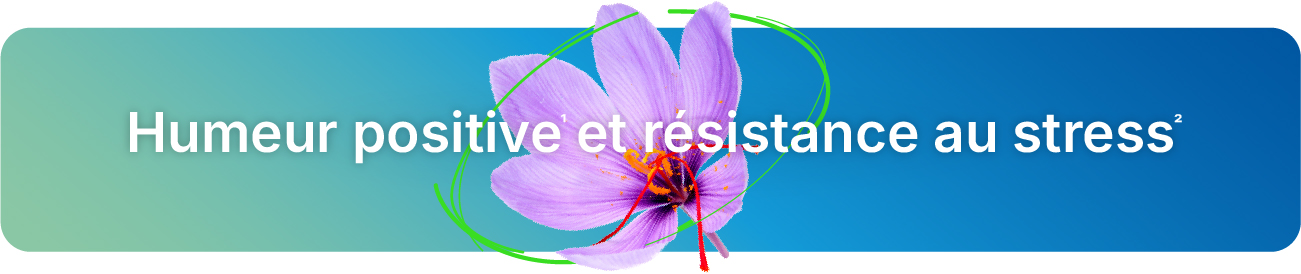 Packshot du complément alimentaire Bacterelax®